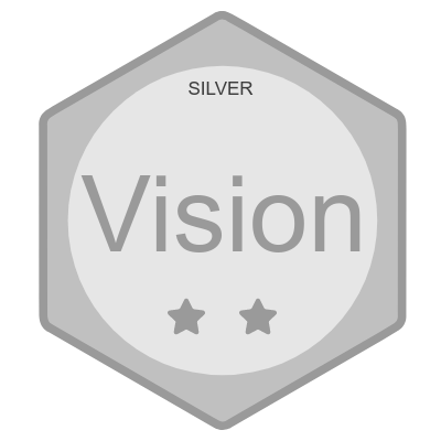 Product Vision Silver