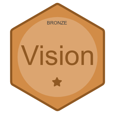 Product Vision Bronze